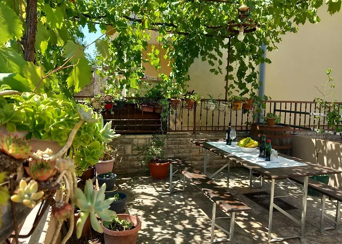 Apartman Oli