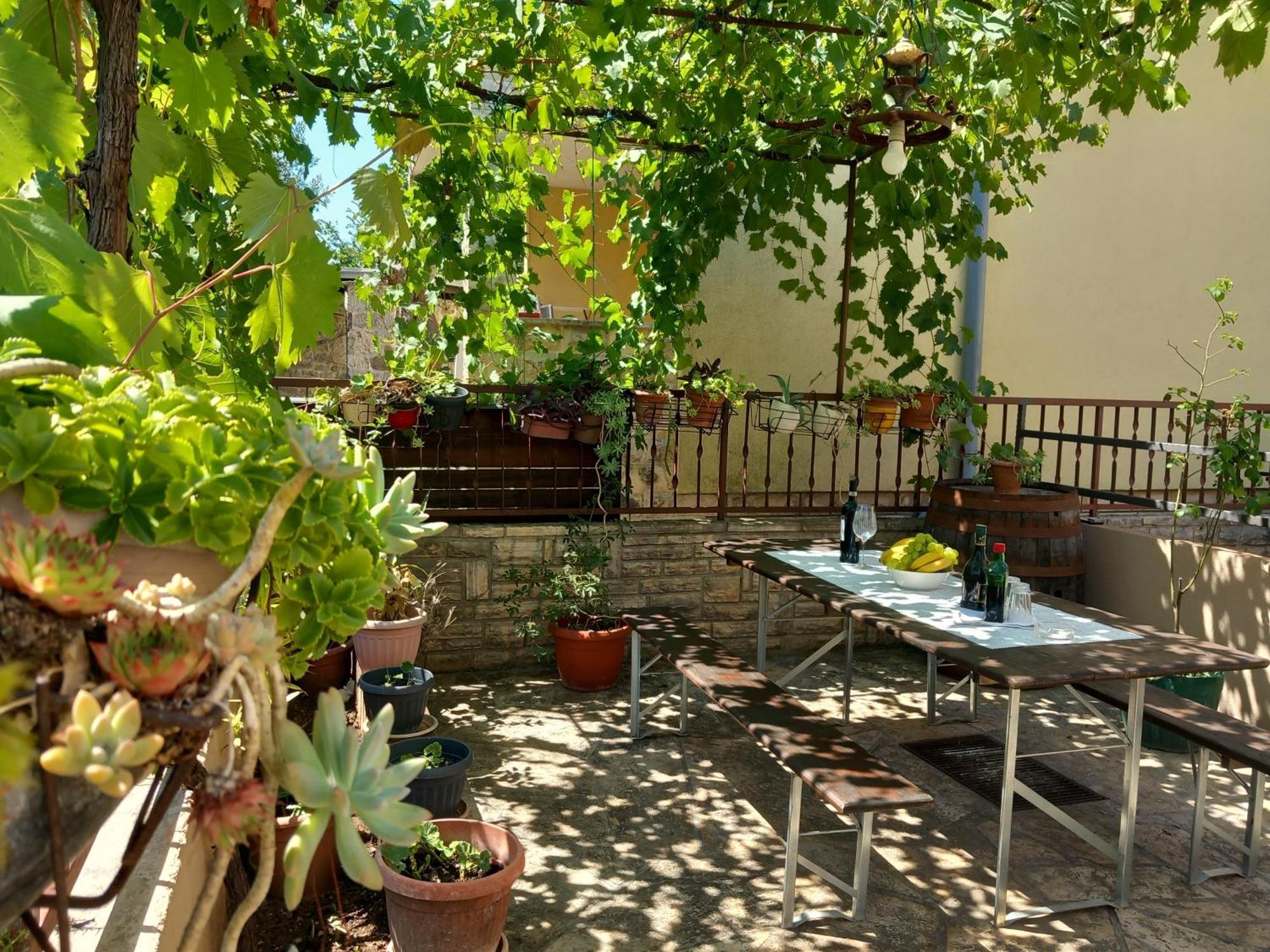 Apartment Oli